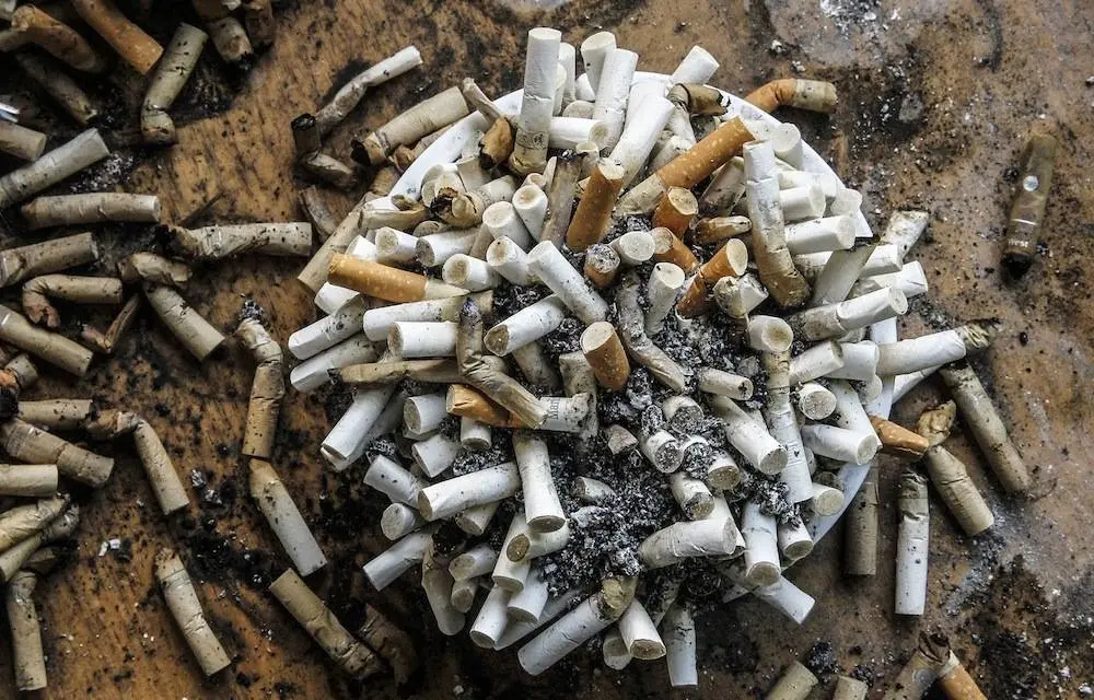 cigarettes restaurant smoking in restaurants