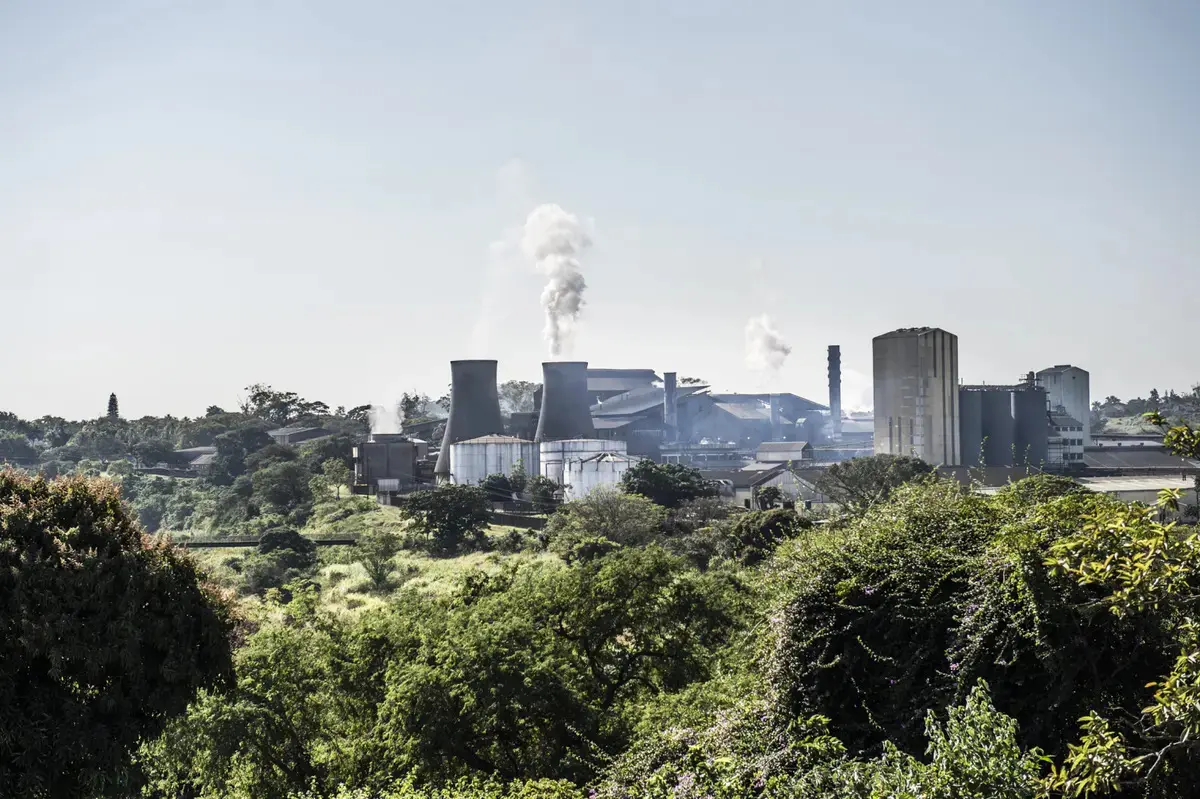 Business rescue practitioners and key stakeholders strike deal to save Tongaat Hulett