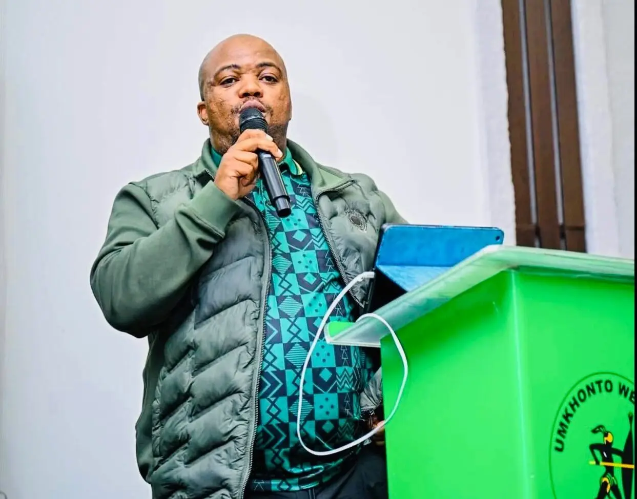Nomvalo accuses ‘political cartel’ involving Zandile Gumede, Mxolisi Phakathi and Lindelani Mbambo of plotting his removal