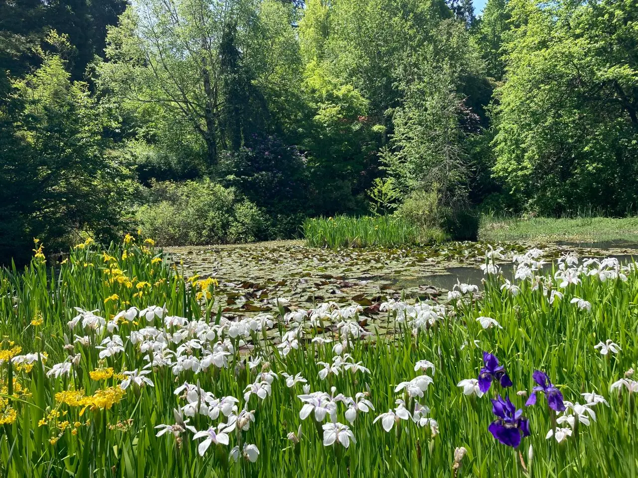 Hogsback Open Gardens: Mountain village prepares to showcase 11 spectacular properties