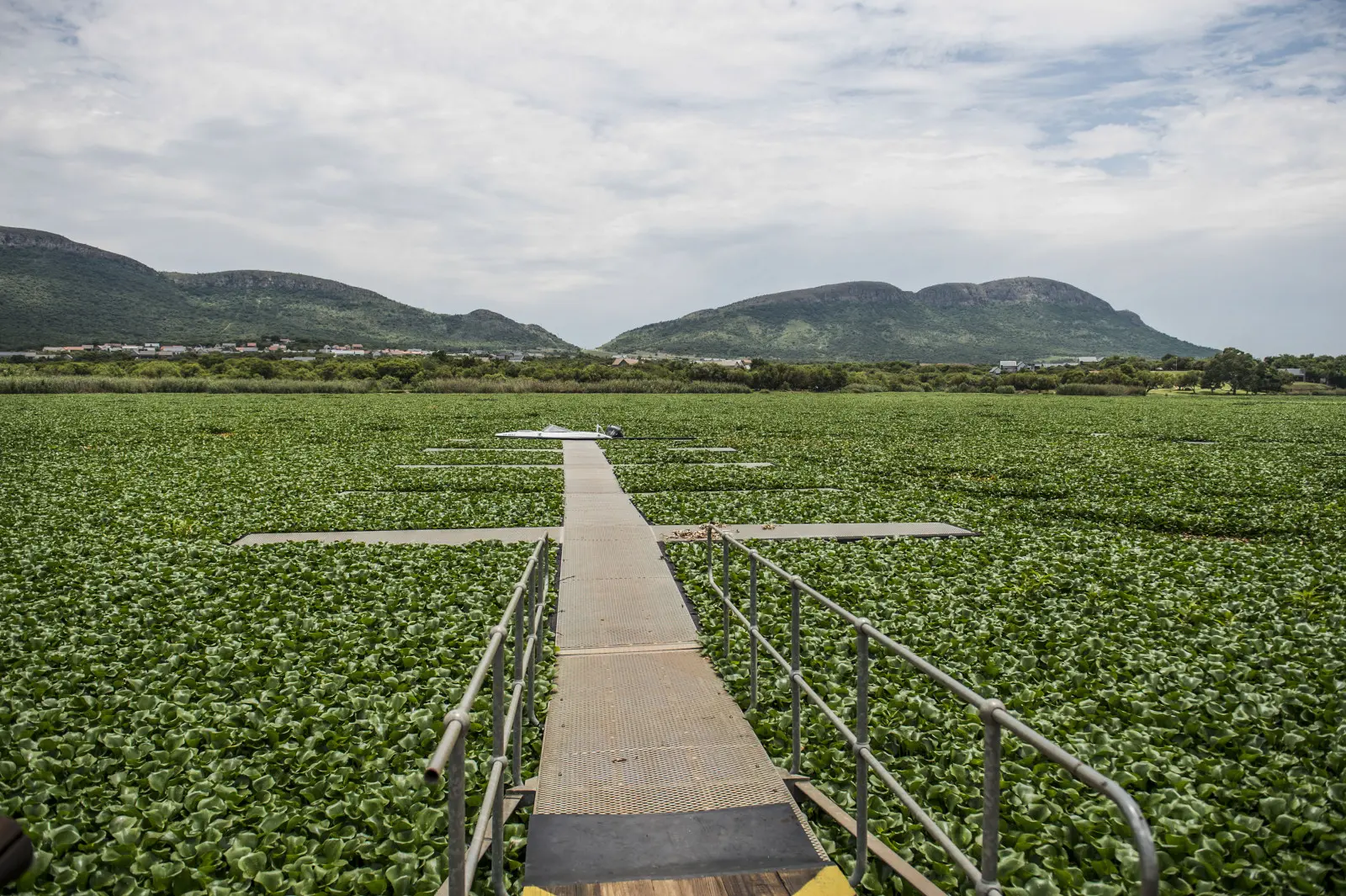 Tshwane Admits It Poisoned Residents: 408 Sick After Three Weeks of Unchlorinated Sewage Water