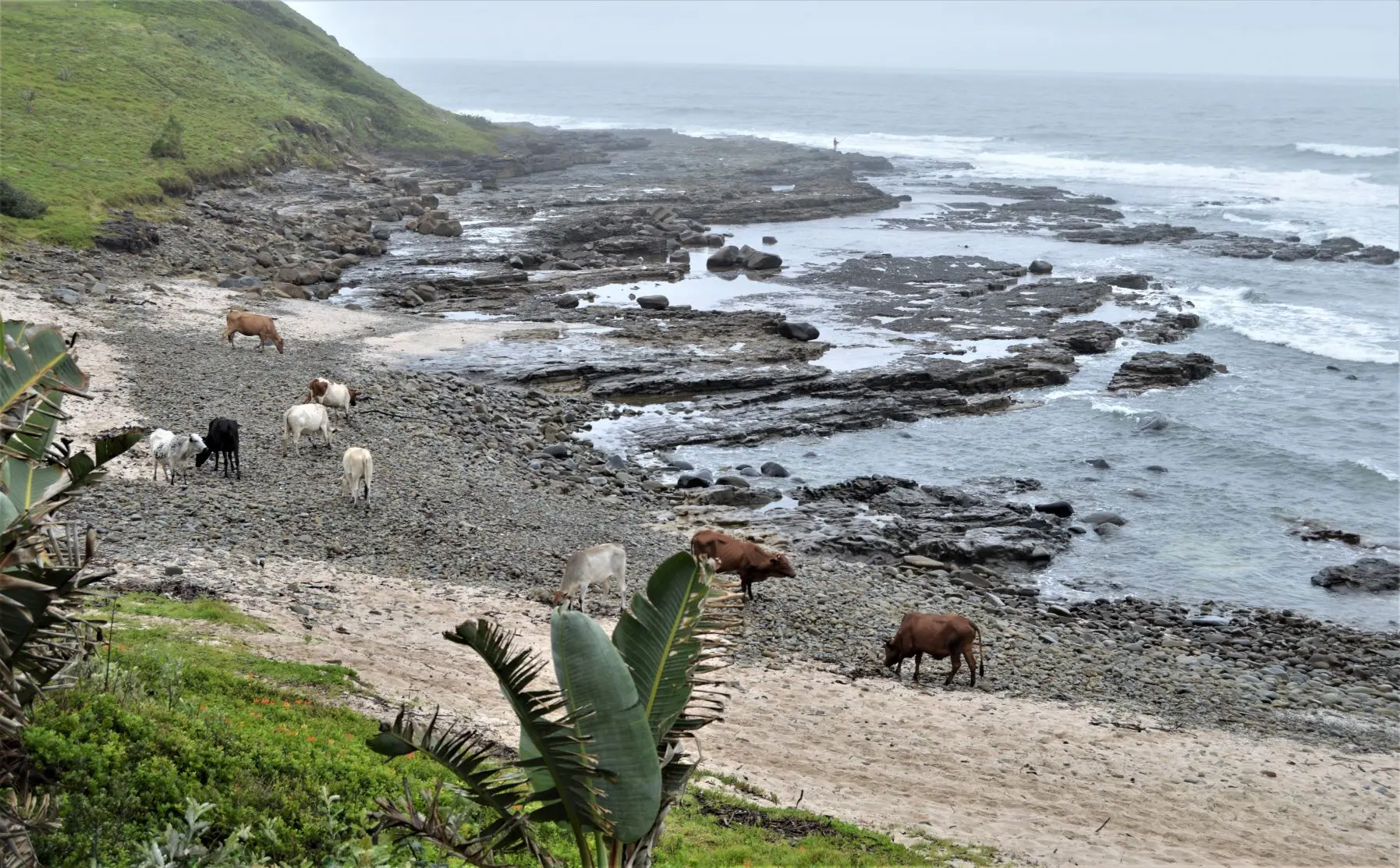 Ancient Strandloper trail still embodies spirit of walking in rhythm with the ocean