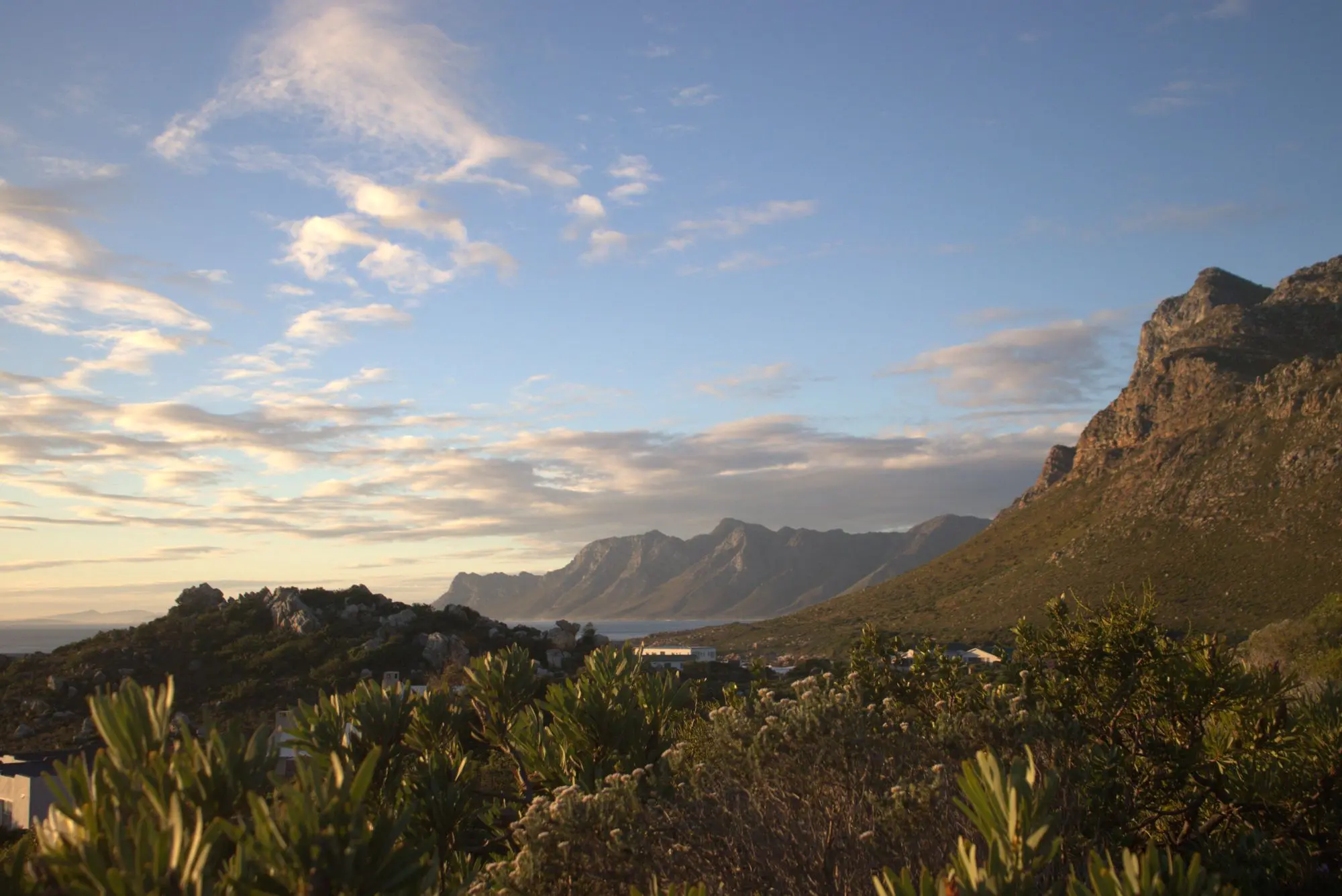 The heart of the fynbos