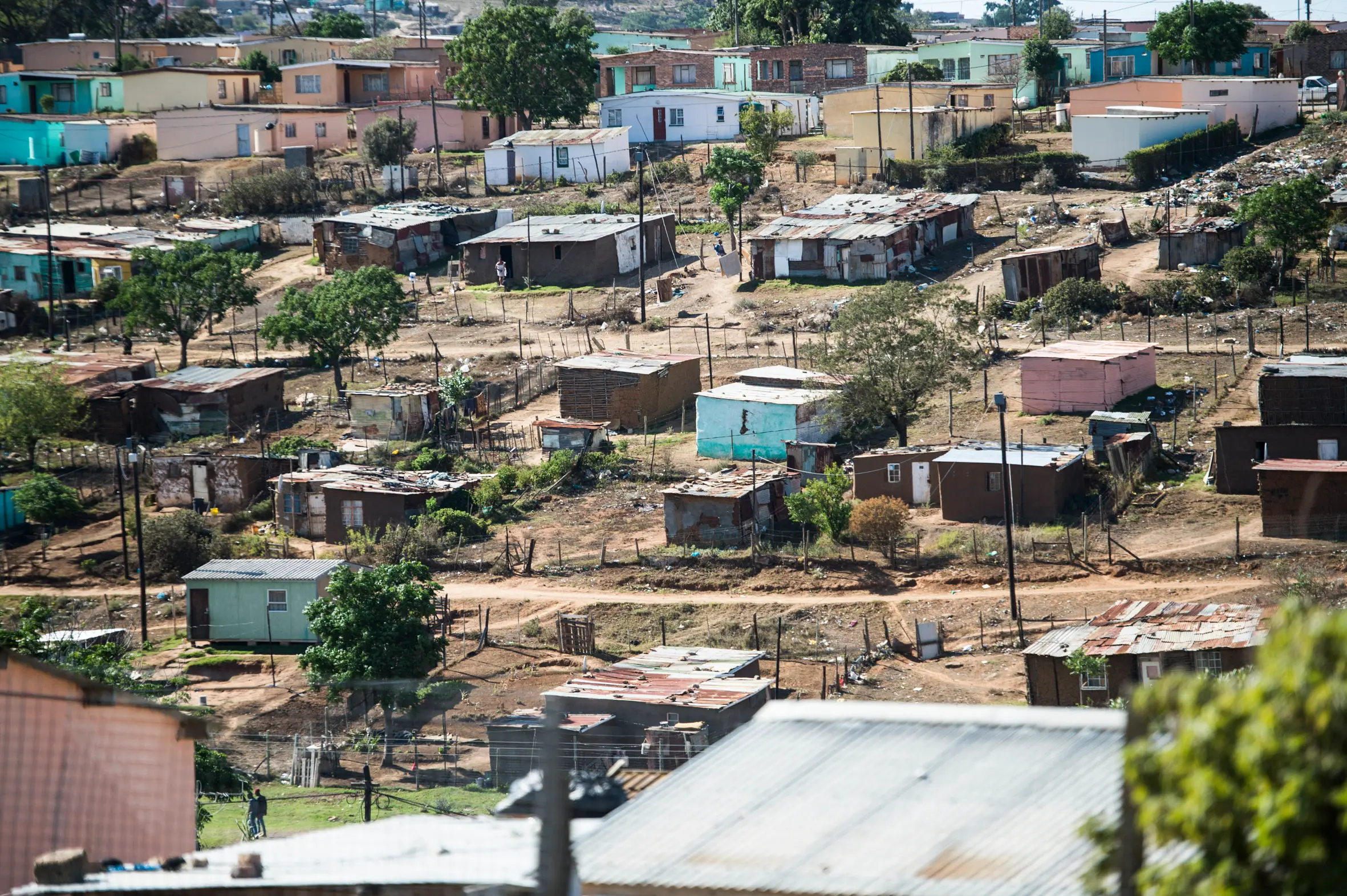 Africa is home, everybody plays their part