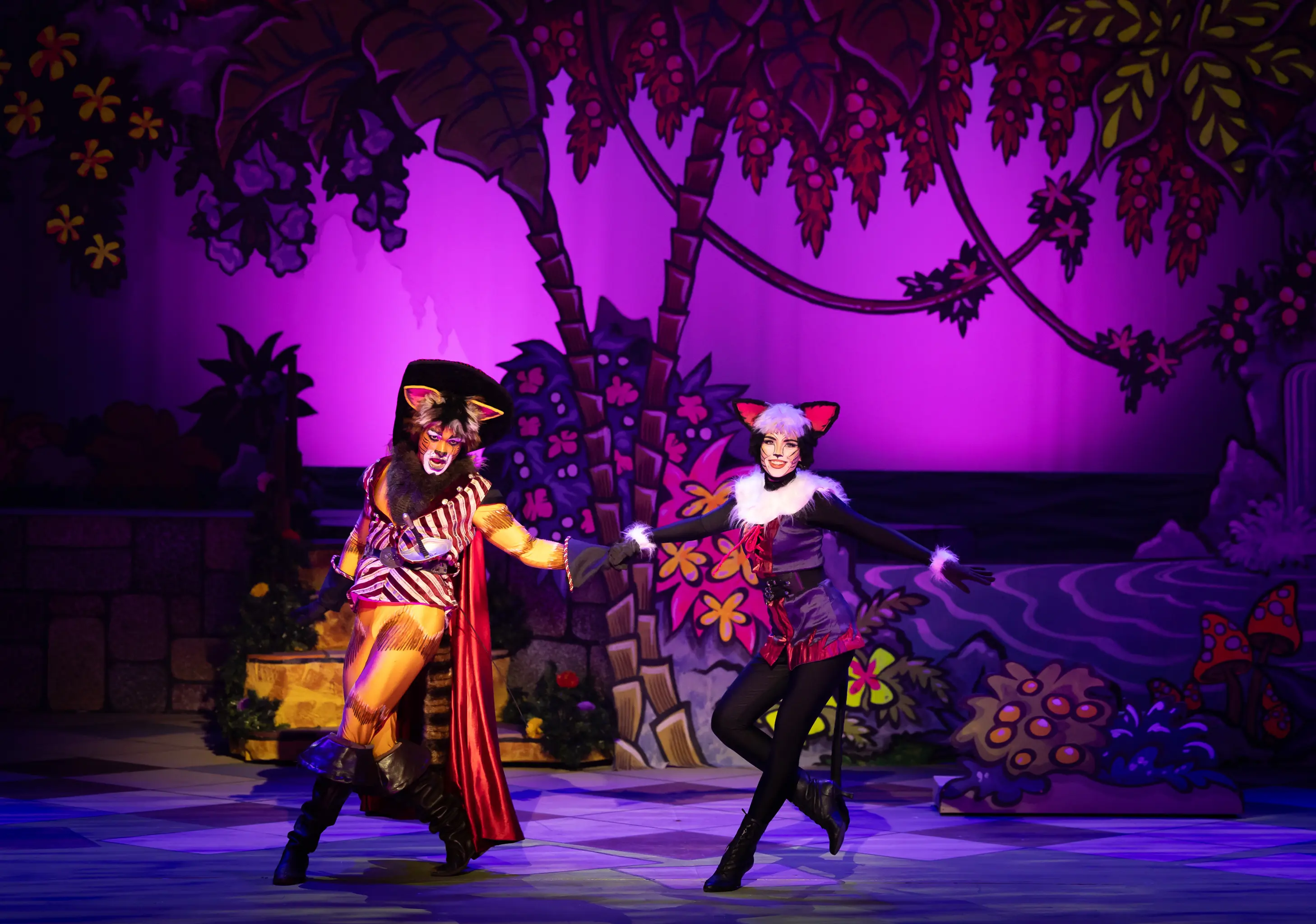‘Puss in Boots’ puts its best paw forward in Cape Town