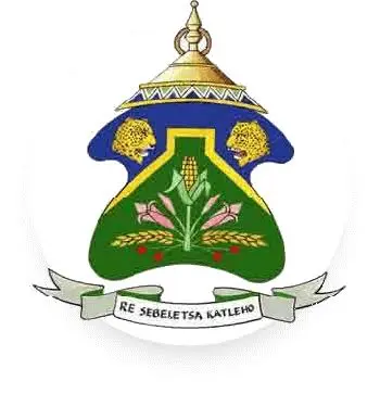 Setsoto local municipality 30 days tender