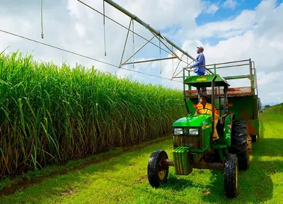 Tongaat Hulett delays payments as cash-flow pressure mounts