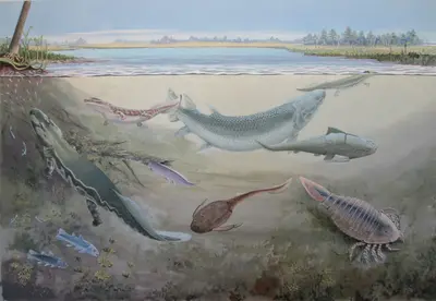 ‘Terrifying’ prehistoric fish found in Makhanda