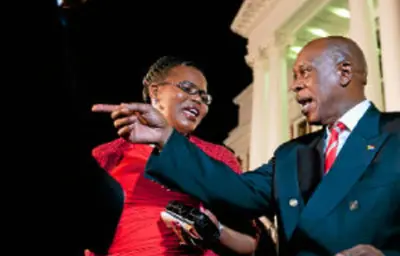 What the ANC said about the Zuma plot
