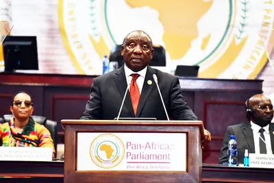 Pan-Africanism cannot begin and end with South Africa