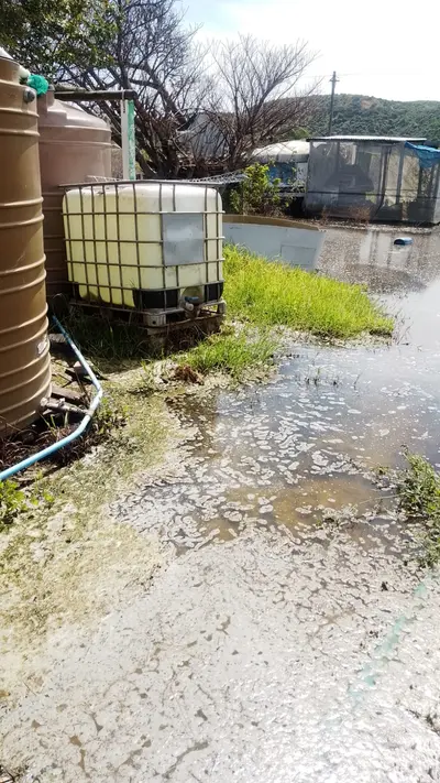 Eight months of flooding wracks Colchester | The Herald