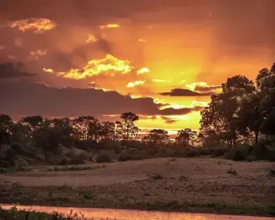El Niño to cause tens of thousands of heat deaths in Africa
