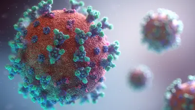 Bhisho embarks on disinfection campaign as it braces for return of ...