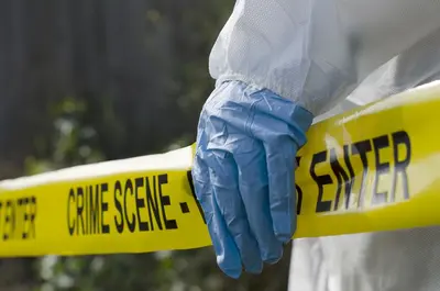 Foetus found in Greenbushes | The Herald