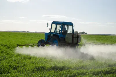 Pesticides found in our every day foods