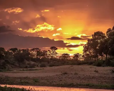 The SAWS warns exceptionally strong 2026/2027 El Niño could bring severe heatwaves to SA