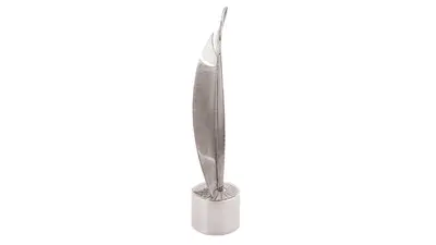 2022/2023 NSTF-South32 Awards