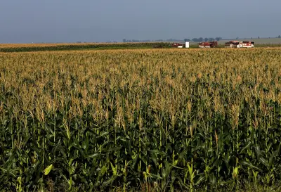 Agbiz/IDC index rises eight points to 53 in Q3 2026