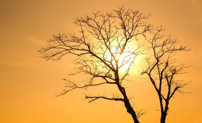 El Niño threatens South Africa's 2026/27 farming season as drought risks mount