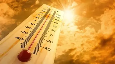 What a strong El Niño could mean for South African households