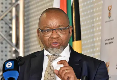Mantashe says DA call for dissolution of cabinet is ‘racist divide and ...