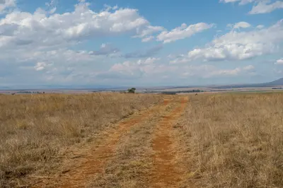 Measure land reform the right way