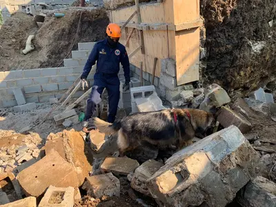 One dead, three injured when wall collapses in KZN | Daily Dispatch