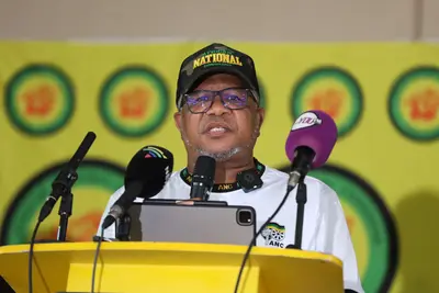 Mbalula calls for police probe of Joburg ANC’s electoral outcomes ...