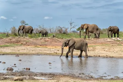 Conservation Cannot Succeed If Communities Are Left Behind