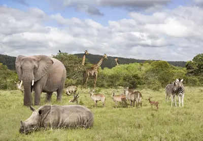 OPINION | Human-wildlife conflict rages amid a changing climate