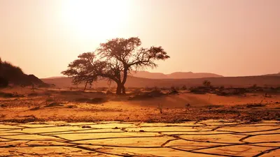 Super El Niño warning: South Africa maps the areas most at risk from ...