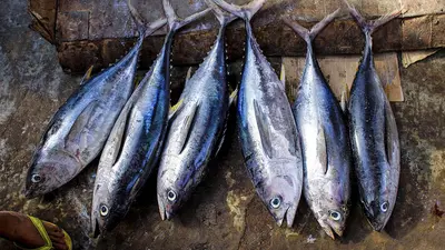 Consumers are choosing to buy sustainably sourced fish