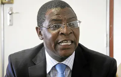 Ncube MDC official who quit says voters were myopic