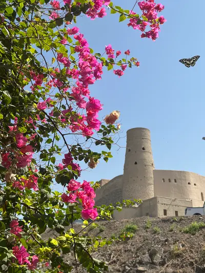 Desert charm, billion-rial ambitions