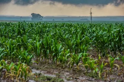 ‘It’s here’: South Africa faces potentially record-breaking El Niño
