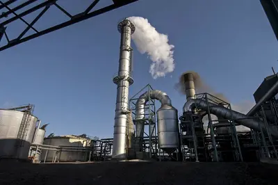 Sweet and sour future for sugar power in eSwatini