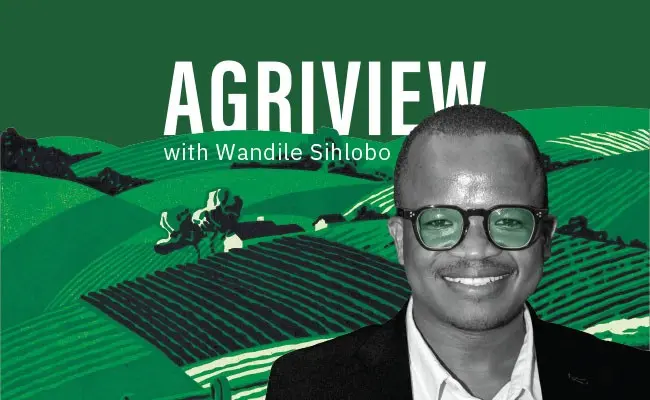 WATCH: The South African wheat industry is under extreme pressure
