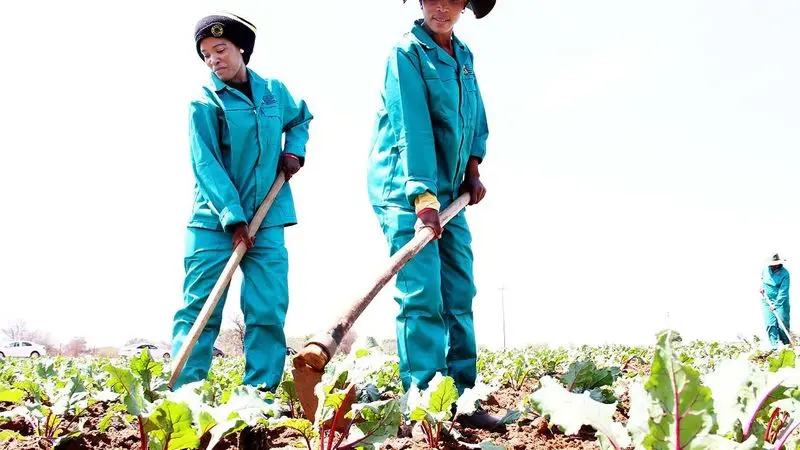 Africa’s Food Future: Stop Producing More at Any Cost